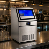 Machine à glaçons professionnelle en acier inoxydable pour cuisine d'hôtel, haute productivité, pompe à eau, capacité de stockage 20 kg, 110V/220V
