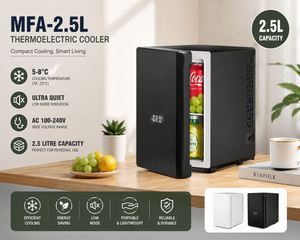 Mini-réfrigérateur thermoélectrique portable 2,5 L, AC 100-240V, refroidisseur de boissons compact pour chambre, bureau, hôtel, soins de la peau - Product Image 2