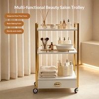 Chariot de Salon de Beauté à 3 Niveaux avec Tiroir, Cadre Métallique Doré, Chariot de Rangement Mobile à Roulettes pour Utilisation en Spa et Salon