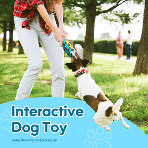 Juguete Ecológico para Perros de Cuerda de Algodón TPR, Resistente a Mordidas, para Limpieza Dental, Juguete <span class=keywords><strong>Molar</strong></span> para Mascotas, Color Personalizado de Fábrica, Interactivo - Product Image 5