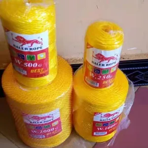 Africa NO.1 vendita di spago per balle in Pp di colore giallo da 2mm 2MM * 1000G, sacchetto da 20 pezzi/PE per l'imballaggio agricolo