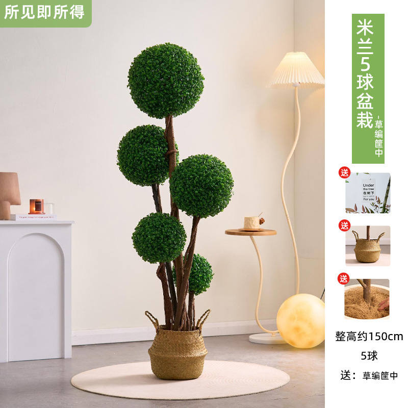 Albero di orchidee a 5 sfere da 15 m + cesto di erba