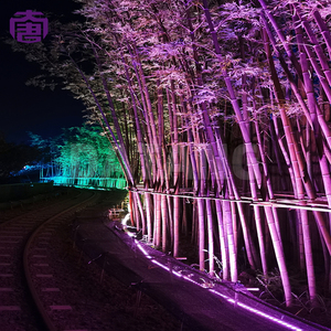 Luz de Color para Paisajismo, para Árboles, Jardines, Fachadas de Edificios, Parques, Resorts y Proyectos de Iluminación Comercial para Exteriores - Product Image 4
