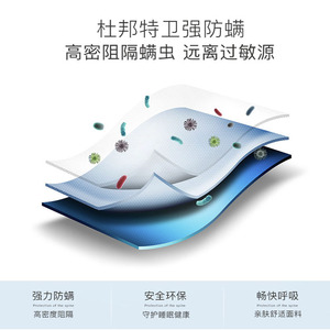 ที่นอนยางพาราไอชัว 1.8 ม. ความแน่นปานกลาง สปริงพ็อกเก็ต สำหรับใช้ในบ้าน - Product Image 3