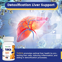 OEM Private Label Suppléments de désintoxication pour le nettoyage du foie TUDCA 500mg Capsules Tauroursodésoxycholique Asit