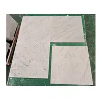 Natural White Carrara Marble Tiles for Walls and Floors