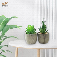 Plantes succulentes artificielles en PVC/PE, assortiment de cactus décoratifs en pot avec pots gris pour usage intérieur domestique – Vente chaude