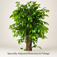 Ensemble de 2 arbres artificiels en ficus de 6,2 pieds de haut avec des troncs en bois véritable et des branches pliables - Décoration d'intérieur réaliste