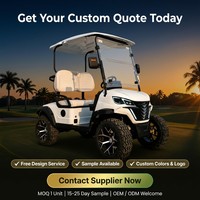 Carrito de Golf Eléctrico para 2 Personas, Motor Asíncrono de CA de 4kW, Freno Hidráulico de Doble Circuito de 60V, Suspensión MacPherson, Neumáticos Todoterreno