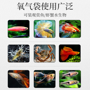 Sac à oxygène épaissi Anzhi New Materials pour le transport express de poissons, crevettes et animaux aquatiques, emballage express 100 ml, 200 ml, 300 ml - Product Image 1
