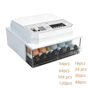 Incubateur d'œufs de poule électrique le plus vendu à vendre, incubateur d'œufs de ferme, machine à couver les œufs, incubateur solaire d'œufs - Product Image 3