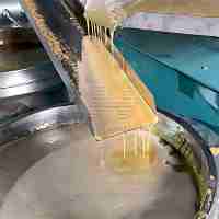 Presse à huile de haute qualité pour arachides, soja, tournesol, capacité 2000-3000 kg/jour, machine d'extraction d'huile, extracteur d'huile de coco