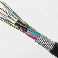 Kabel Serat Optik Single Mode G.652D untuk Saluran Bawah Tanah Luar Ruangan, Jaket GYTA PE/MDPE/HDPE, Bersertifikasi CE, Hitam, 2-288 Core Terlilit