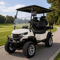 Voiturette de golf électrique de plage 2, 4 ou 6 places, moteur AC 48V 5KW, batterie au lithium, pour patrouilles côtières, avec bac à serviettes sèches