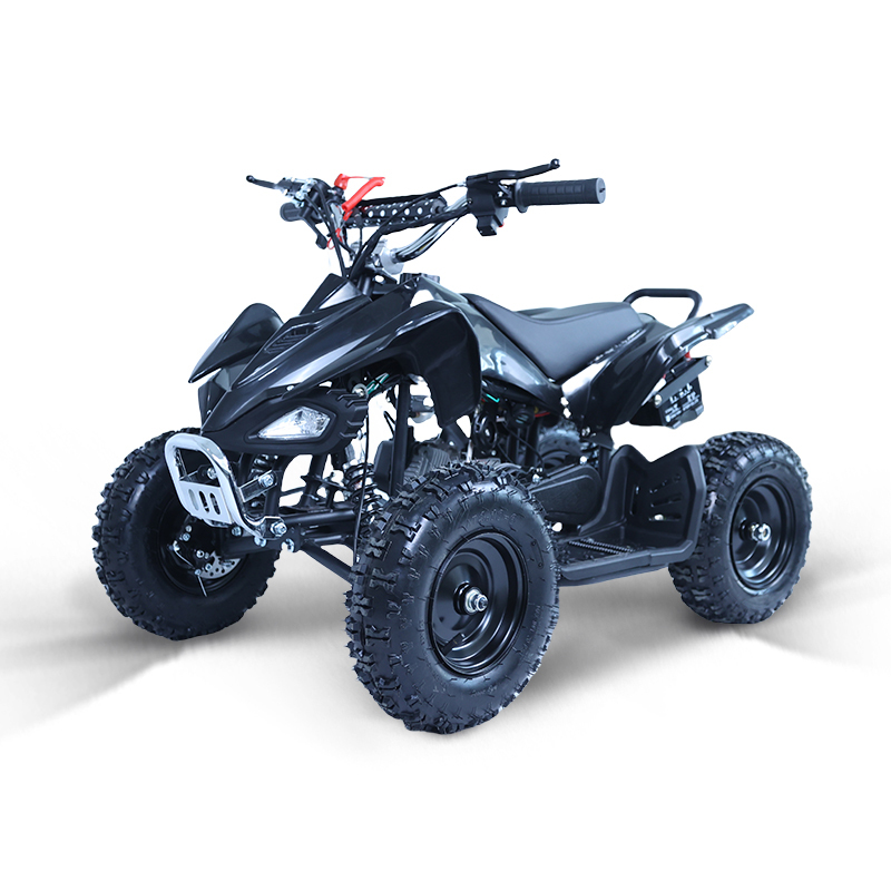 Vendor Adults Powerful Motorcycles Four Wheel