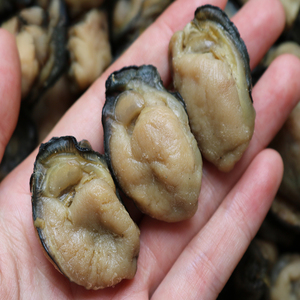 หอยนางรมแห้งจากมณฑลกวางตุ้ง LiOyster Cubesบำรุงก้อนหอยนางรม - Product Image 5