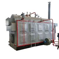 Compacte handgestookte biomassa stoomketel 1 ton, multi-brandstof, handmatige invoer voor fruit- en groentedrooglijnen