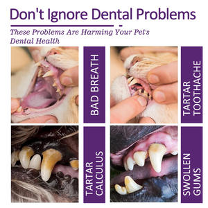 Wholesale 60g Pet Oral Care Whitening Gentle Remove Plaque Fresh Breath Home Use Dental Care <b>Toothpaste</b> for Dogs and Cats - Product Image 3