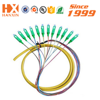 Équipement de queue de cochon à fibre optique Hanxin avec 12 cœurs Upc Sc Apc pour utilisation FTTH