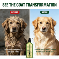 Shampooing Probiotique Personnalisé pour Chiens, Lavant Corporel Sans Alcool, pH Équilibré, Pour un Pelage Doux et Soyeux, Nettoyage en Profondeur, 356ml, OEM Bain pour Animaux