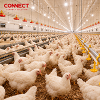 Système de ventilation, chauffage et éclairage pour bâtiment d'élevage de poulets climatisé – Équipement pour entrepreneur en élevage avicole