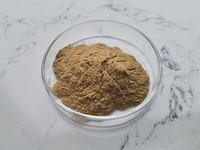 Extrait de Labisia Pumila soluble dans l'eau, qualité alimentaire 10:1, poudre d'extrait de Kacip Fatimah