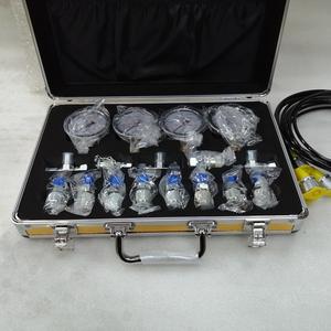 طقم مقياس ضغط هيدروليكي, طقم مقياس ضغط هيدروليكي 10/25/40/60 ميجا باسكال ، 4 مقاييس ، طقم أدوات اختبار الضغط الهيدروليكي - Product Image 2