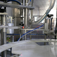 Machine rotative à tête unique pour grands fûts d'huile 1L-10L Placement manuel du couvercle Capsulage automatique Une unité pour les emballages en verre de remplissage de gel