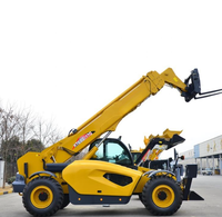 Chariot télescopique XC6-3514 de 3,5 tonnes et 14 m pour l'empilage de conteneurs vides des entreprises logistiques des Émirats arabes unis