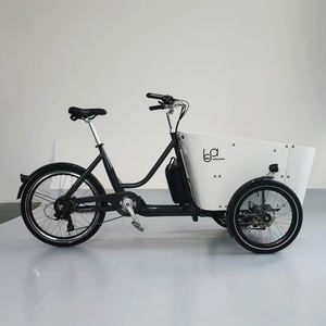 <span class=keywords><strong>Vélo</strong></span> <span class=keywords><strong>Cargo</strong></span> électrique à trois roues à Suspension complète, à entraînement central, à vendre - Product Image 4