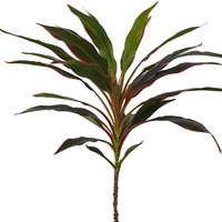 OH ARTS Hoogrealistische Kunstmatige Drakenbloedboom Braziliaanse Houten Boom Bonsai Potplant Realistisch Levensecht Binnenplant