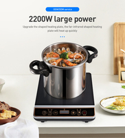 Top de Table Portable en céramique, cuiseur électrique à Induction, 1 brûleur, plaque de cuisson à infrarouge