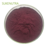 Poudre de fruits d'açaï biologique naturelle pure