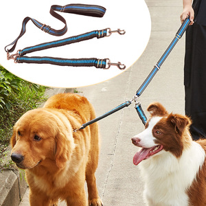 Laisse pour chien en nylon à double embout réglable pour grandes races, laisse de promenade pour animaux de compagnie - Product Image 1