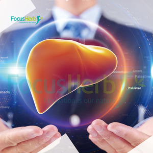 FocusHerb USA Warehouse รับผลิตผงไทมัสเนื้อวัวออร์แกนิกจากนิวซีแลนด์ที่เลี้ยงด้วยหญ้า ภายใต้แบรนด์ของเราเอง - Product Image 4