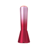 Appareil de rajeunissement de la peau chauffant à main, lifting du visage, écran tactile, tête de pores, verre/jade ABS, rechargeable, centre de beauté du visage, OEM
