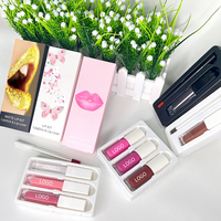 Coffret de gloss vegan Clean Beauty, sans cruauté, haute brillance, kit de rouges à lèvres liquides, coffret cadeau, vente en gros