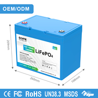Fabricant OEM ODM, batterie marine au lithium LiFePO4 12V 100Ah 1,2kW à longue durée de vie pour moteur de pêche, bateau, kayak