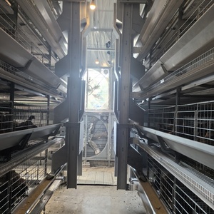 Mạ Kẽm Nhúng Nóng H Loại Tự Động Gà Trang Trại Lồng Điều Kiện Mới Thép Pin Coop Cho Lớp Và Trứng Gà - Product Image 6