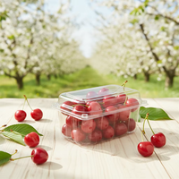 Boîtes à clapet en plastique PET transparent de 250g et 400g pour l'emballage des tomates, des fraises, des raisins et des cerises
