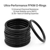 Joints toriques en élastomère perfluoré FFKM haute performance pour équipements de traitement chimique et semi-conducteurs, marque JFS -18-350