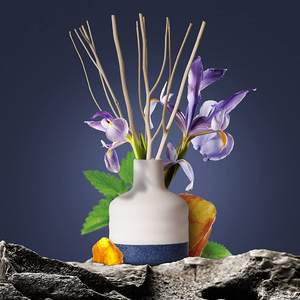 Difusor <span class=keywords><strong>de</strong></span> caña líquida <span class=keywords><strong>de</strong></span> cerámica para aromaterapia, paquete personalizado/tamaño/color <span class=keywords><strong>de</strong></span> retales, sin <span class=keywords><strong>fuego</strong></span> - Product Image 2