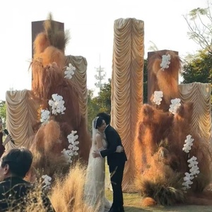 Thanh Lịch Đám Cưới Treo Trang Trí Nội Thất Vải Mềm Treo Rèm Mùa Thu Màu Sắc Trang Trí Cho Tổ Chức Sự Kiện Đảng <span class=keywords><strong>Backdrop</strong></span> - Product Image 2