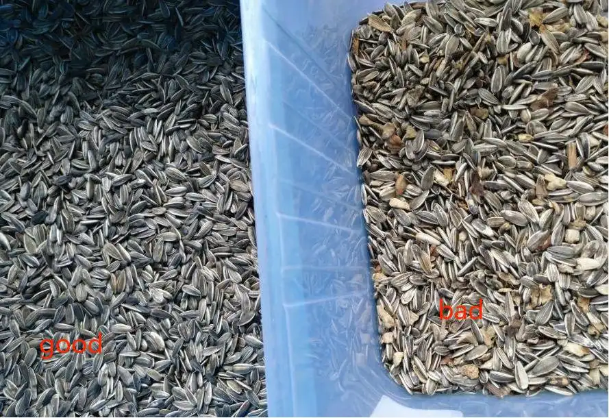सूरजमुखी के बीज Seprator मशीन बहुउद्देशीय रंग सॉर्टर मशीन के लिए प्लास्टिक चाय Quinoa बीज सफाई अस्वीकृति