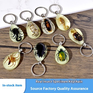 고투명 레진 봉입 자연 곤충 드롭 야광 키체인 펜던트 소스 강도 프로모션 카라비너 키링 - Product Image 3