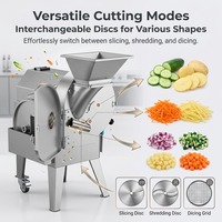 Commerciële aardappelchips snijmachine, fruit- en aardbeien multifunctionele snijder, groentesnijder