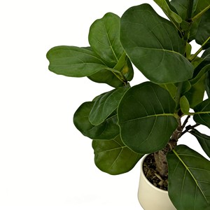 ต้นไม้ประดิษฐ์สีเขียวในกระถางพร้อมของตกแต่งใบต้นไทรสำหรับวางบนพื้นห้องนั่งเล่น - Product Image 5