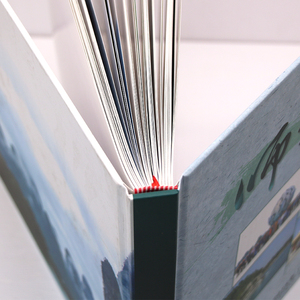 ที่กำหนดเองที่มีคุณภาพสูง <span class=keywords><strong>Usborne</strong></span> การศึกษาสำหรับการระบายสีป๊อปอัพไดโนเสาร์หนังสือเด็ก - Product Image 1