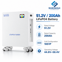Batterie de stockage d'énergie solaire domestique 10 kWh LiFePO4 Lithium 51,2 V 200 Ah avec communication CAN RS485