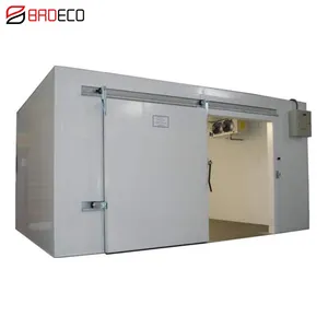Storage Freezer Manufacturer Walk Cold Fish Storage Freezer Cold Room Refrigeration Unit
